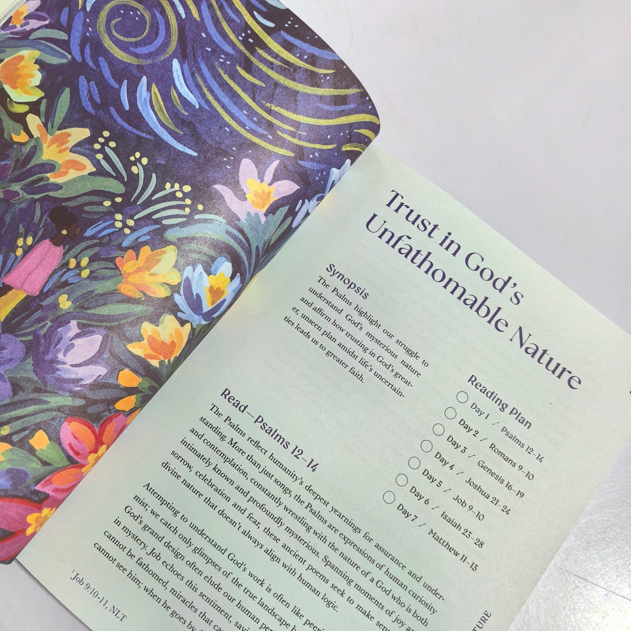 A Beautiful Year In The Bible