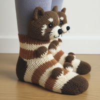 Raccoon sock 1:1 ratio
